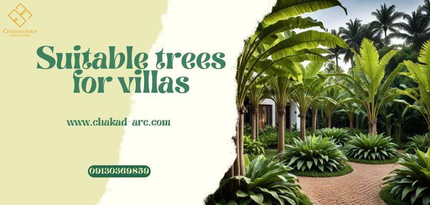 درختان زینتی - درختان مناسب برای ویلا