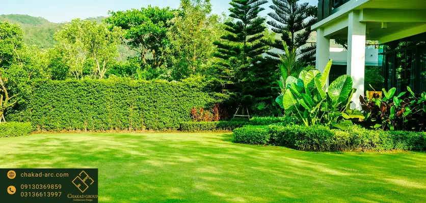 نکات چمن کاری - چمن کاری ویلا