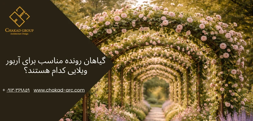 گیاهان رونده مناسب آربور - آربور ویلا