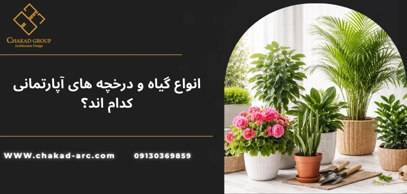 انواع گیاه آپارتمانی - چیدمان گیاه آپارتمانی