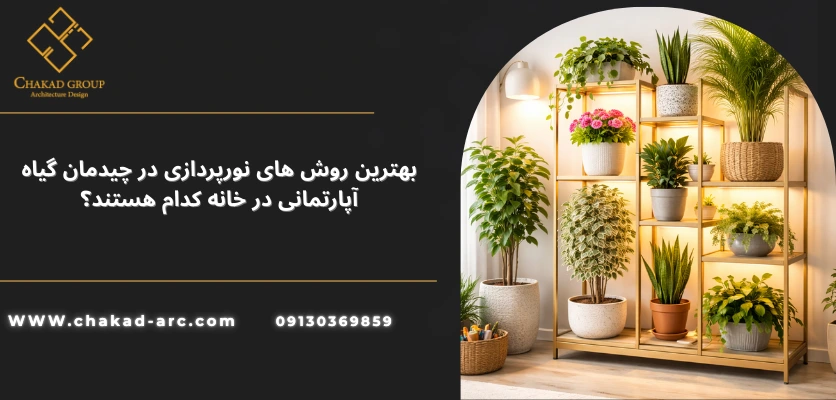 نورپردازی برای گیاهان - چیدمان گیاه آپارتمانی